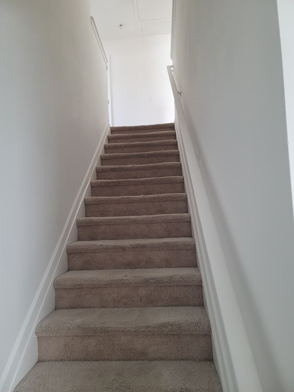 A staircase with beige carpeted steps and white walls.