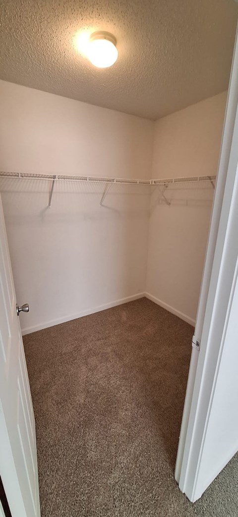 A small, empty room with a carpeted floor and white walls.