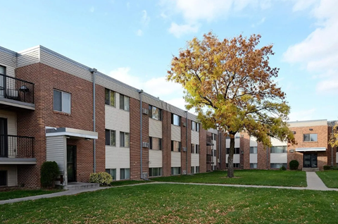 A tree with yellow leaves stands in front of apartment buildings.