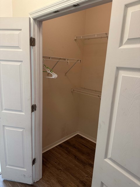 A white door is open to a small closet with a shelf and clothes hangers.