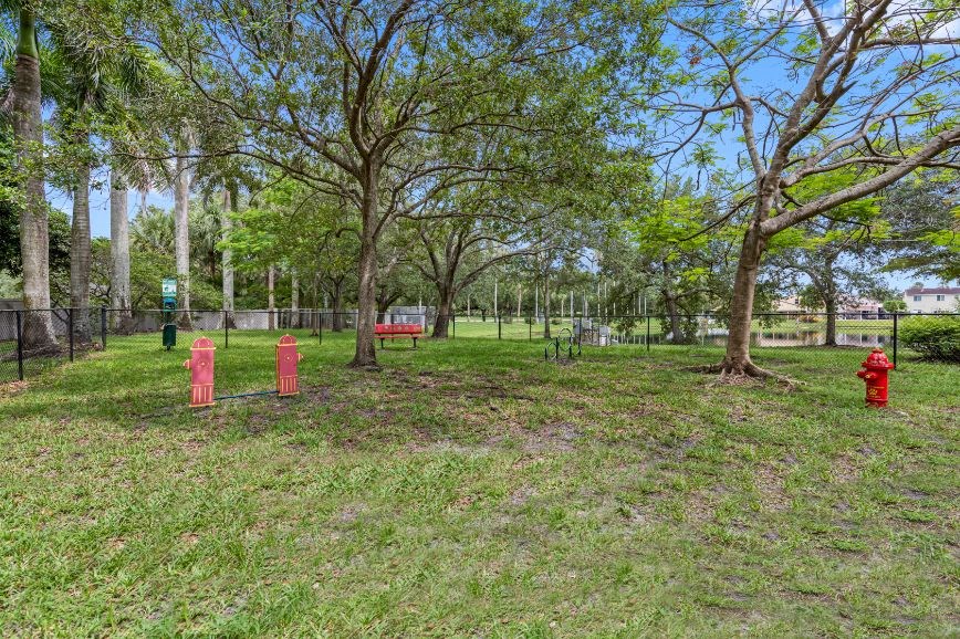 A park with trees, grass and fire hydrants.