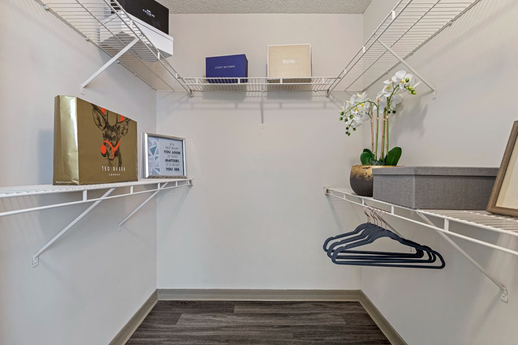 A white closet with a hanger and a plant.