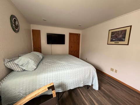 A bedroom with a bed, a flat screen TV, and a picture on the wall.