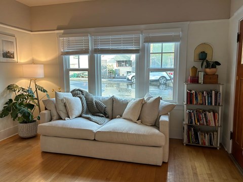 A living room with a white couch and a potted plant.