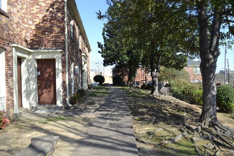 GTA Beautiful Shaded Sidewalks with Large Magnolias