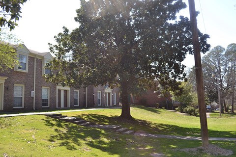A tree stands in front of a building with a lawn in the foreground.