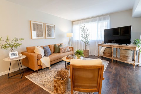 A living room with a brown chair and a brown couch.