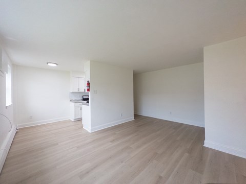 A room with a wood floor and a white wall.