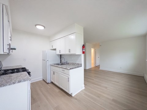 A kitchen with white cabinets and a marble countertop.