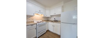 1 Bedroom | Elmwood