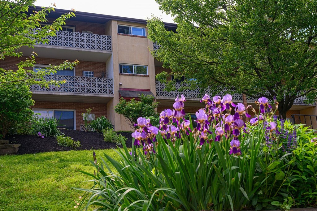 Source URL: https://medialibrarycf.entrata.com/18901/MLv3/3/27/2024/04/24/073110/6629b25e0c44e5.46553288269.jpg