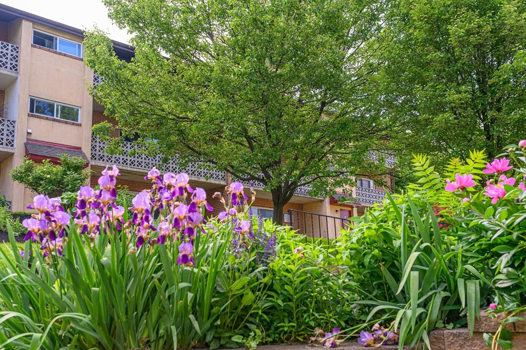 Source URL: https://medialibrarycf.entrata.com/18901/MLv3/3/27/2024/04/24/073110/6629b25eb02710.94130792840.jpg