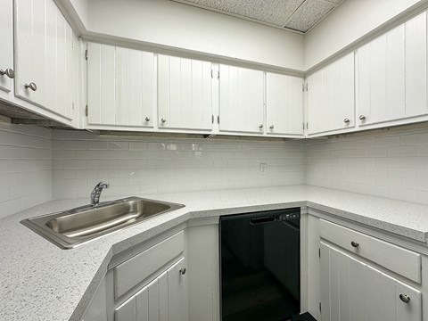 A kitchen with white cabinets and a black dishwasher.