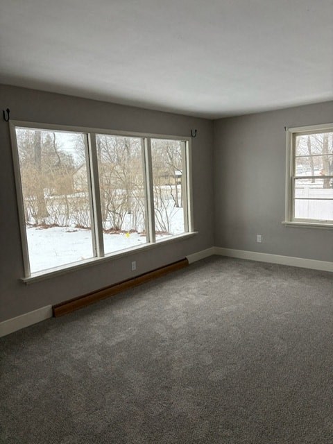 A room with grey carpet and a window showing a snowy landscape outside.