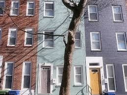A tree stands in front of a row of three-story townhouses.