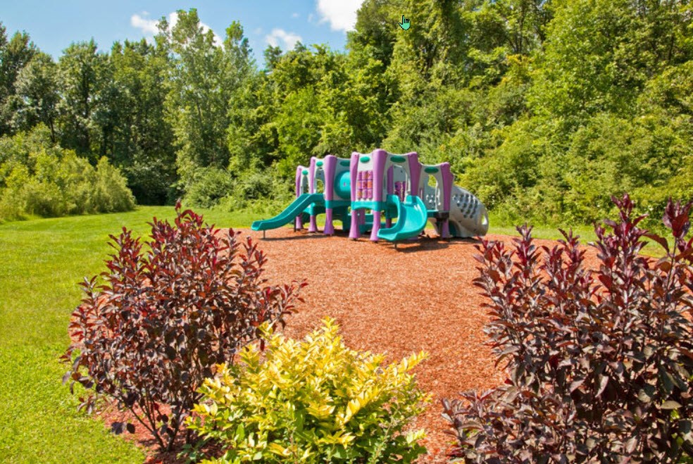 A playground with a slide and a green lawn.