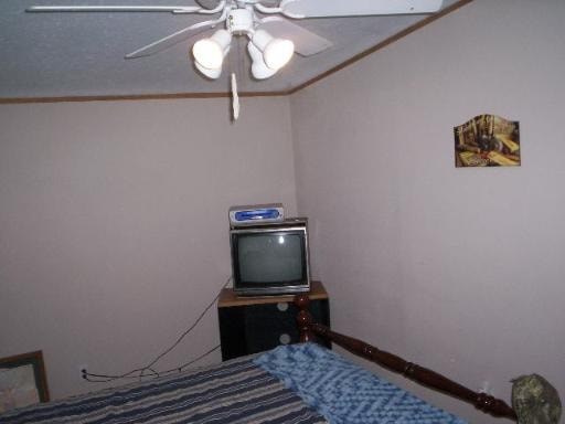 A small room with a television and a bed.