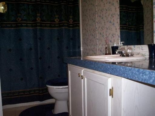 A bathroom with a toilet, sink, and shower curtain.