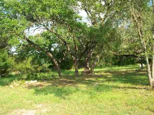 A grassy area with trees in the background.
