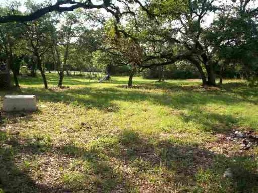 A grassy field with trees and a white object in the foreground.