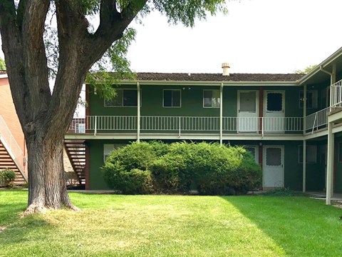 A green building with a tree in front.