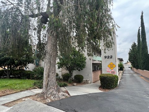 A tree is in front of a building with the number 922 on it.