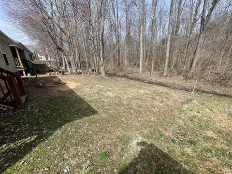 A backyard with a grassy area and trees.