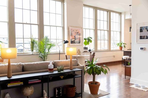 A living room with a couch, a table with candles, and a potted plant.