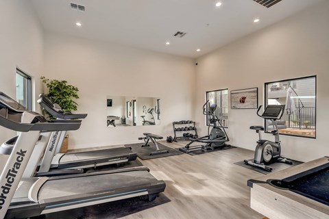 A gym with treadmills and exercise equipment.