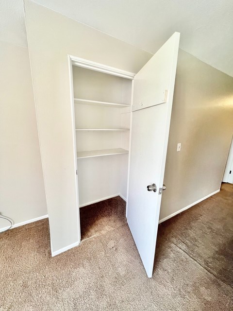 A white closet with a door open and shelves inside.