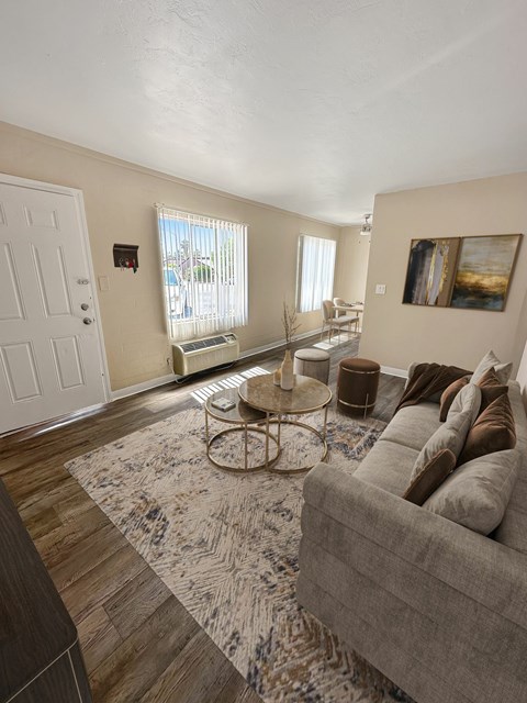 A living room with a grey couch and a patterned rug.