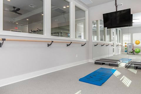 A room with a blue mat and exercise equipment on the floor.