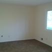 A room with a window and a brown carpet.