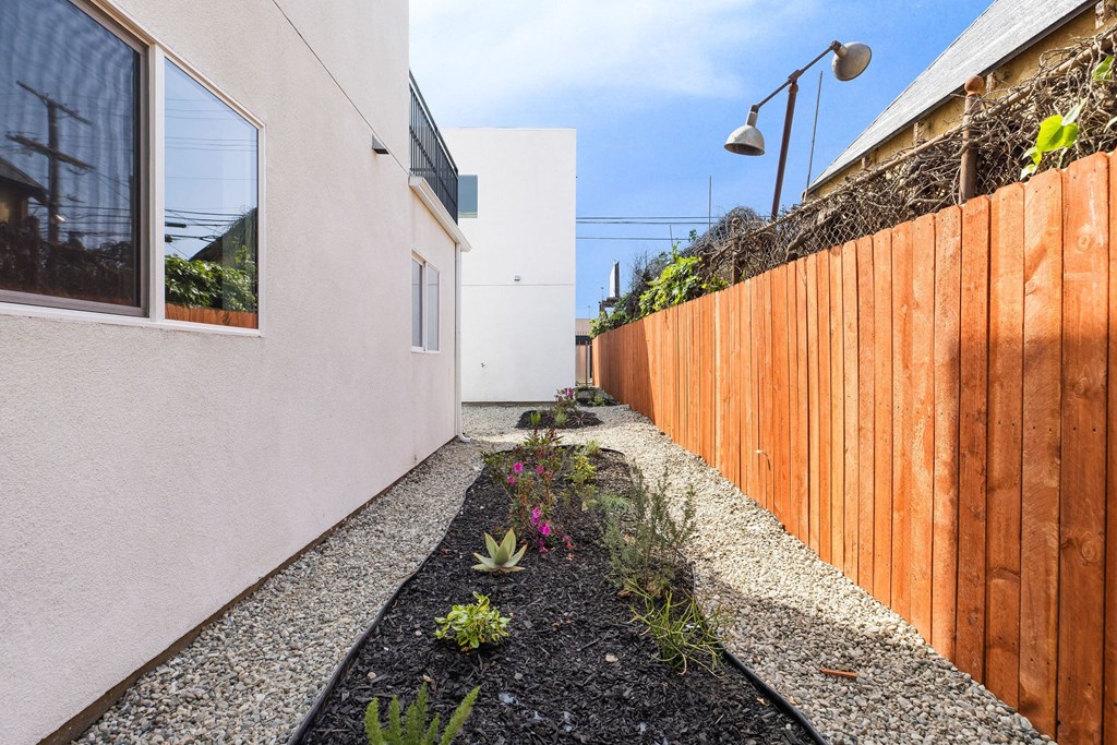 A narrow garden path with a wooden fence on one side and a white building on the other.