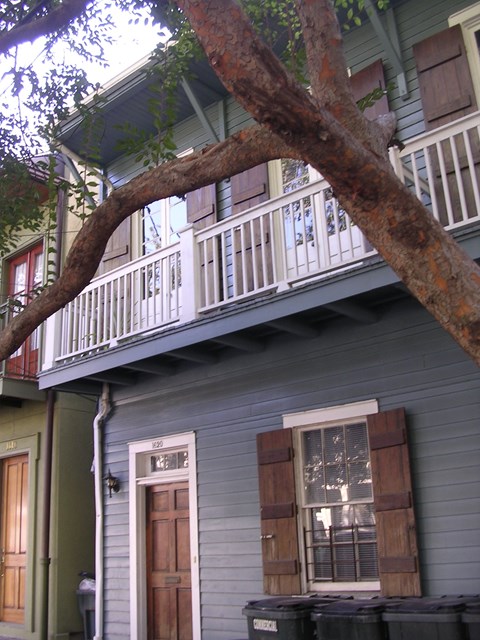 A tree branch hangs over a porch.