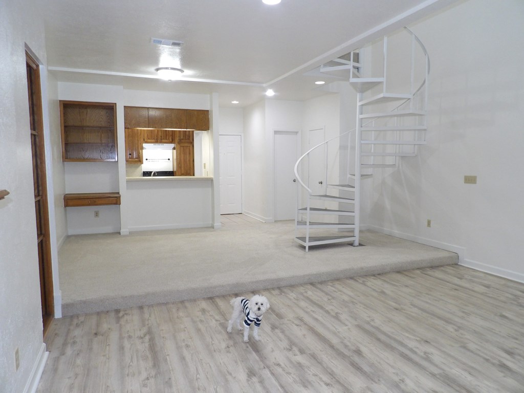 A zebra is standing in a room with a spiral staircase.