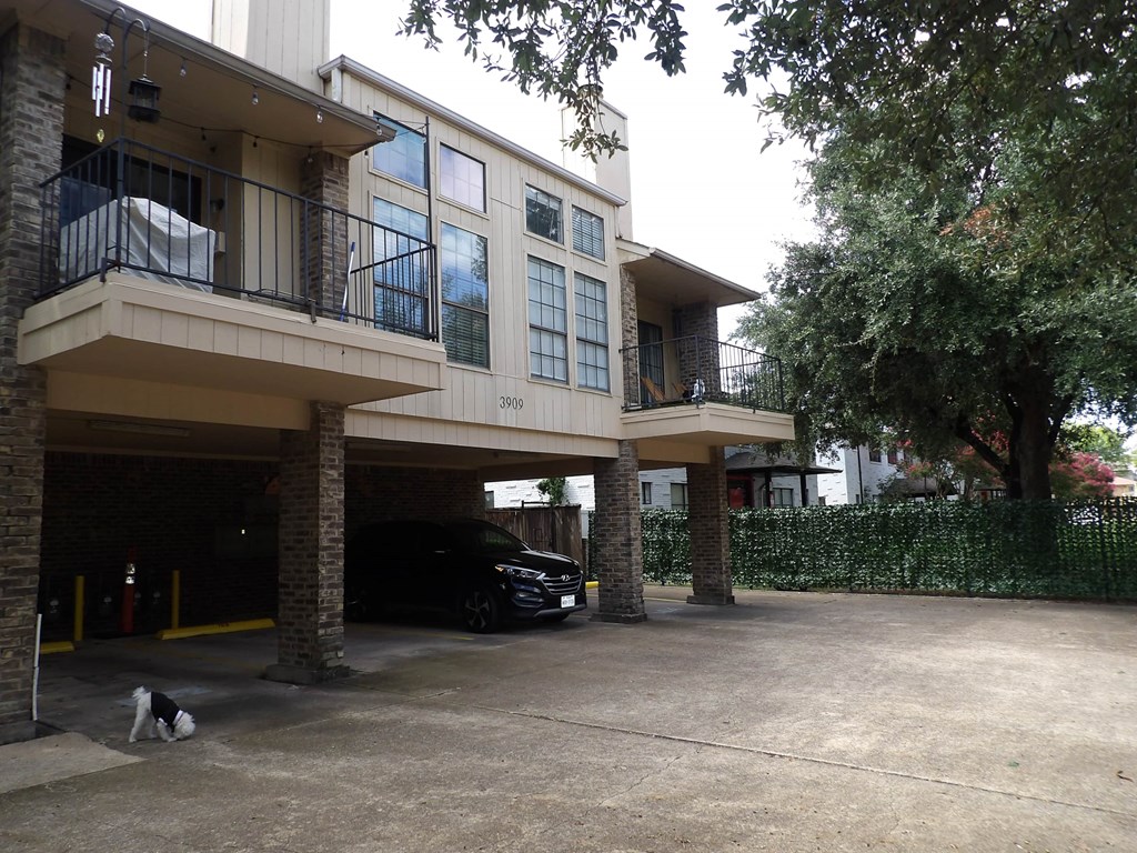 A dog is standing in front of a building with a car parked in the garage.