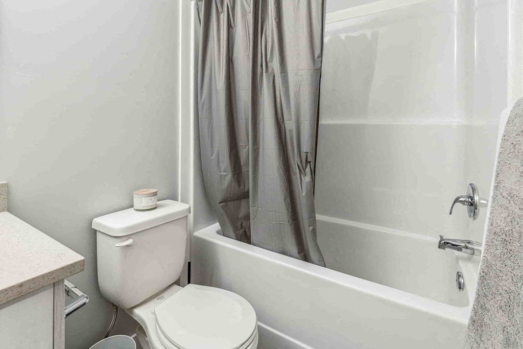 A white toilet sits next to a bathtub in a bathroom.