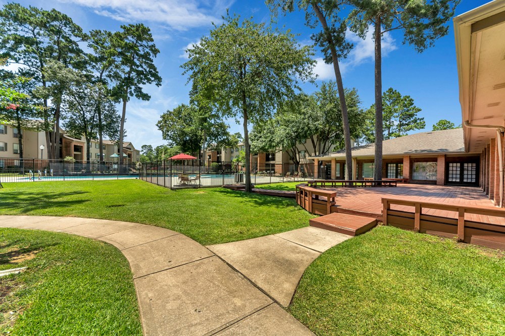 A sunny day at the park with a walking path.