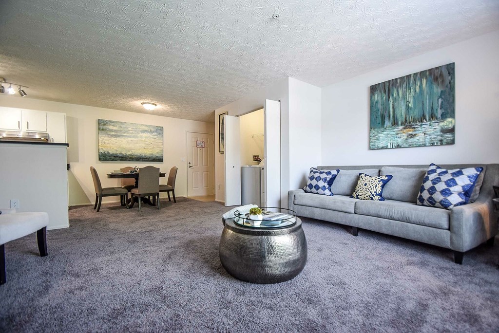 A living room with a grey carpet and a grey couch.