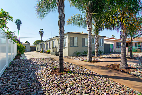 A row of houses with palm trees in front.