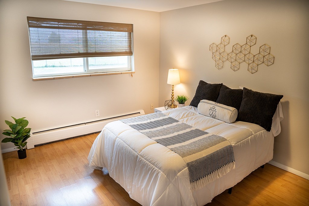 A bedroom with a bed, pillows, a lamp, and a plant.