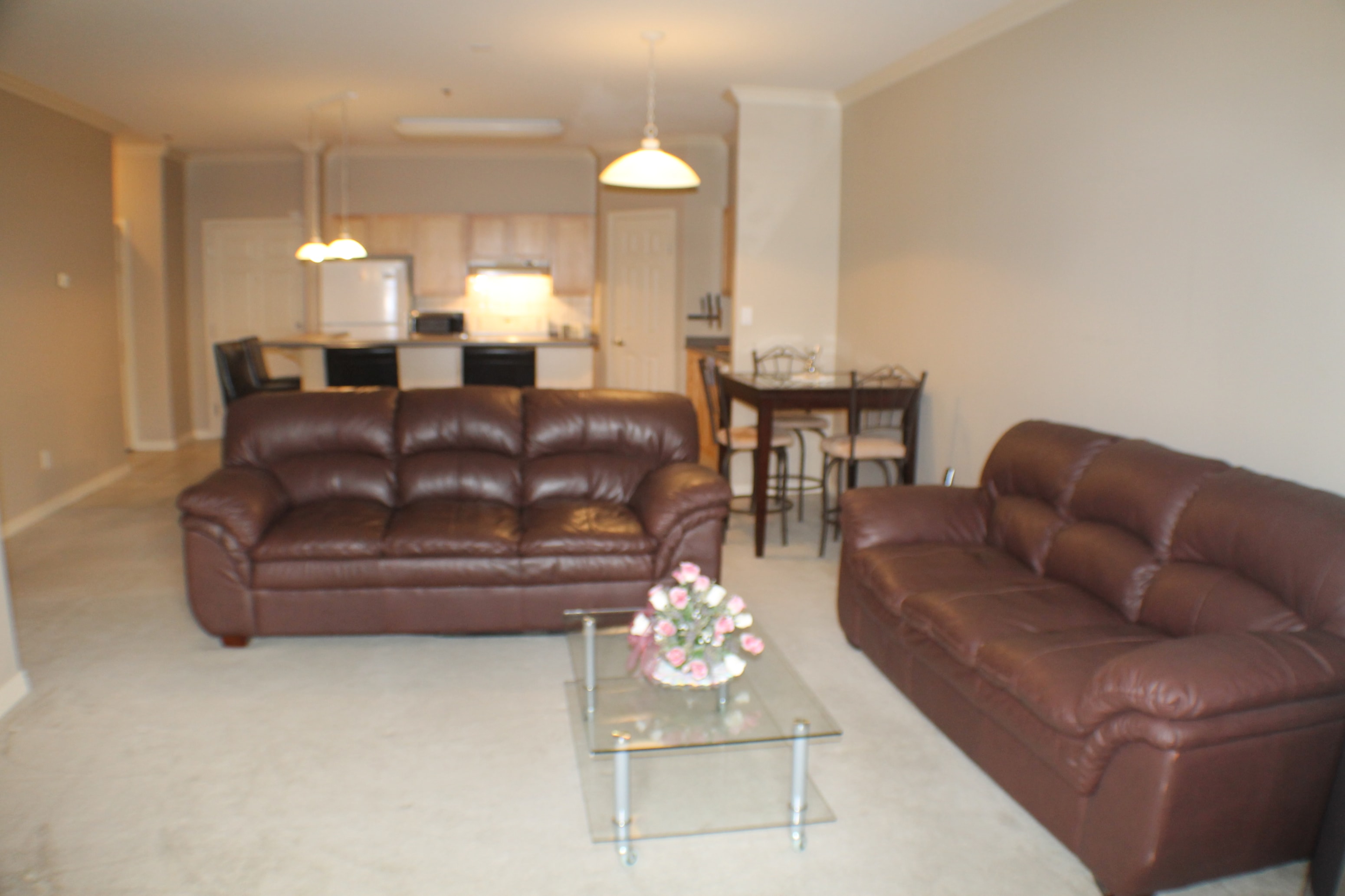 106 1095 Timberline Drive 2 Beds House for Rent - Photo gallery 3