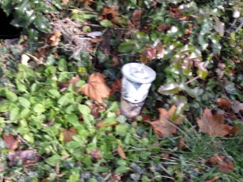 A white object is sticking out of the ground.