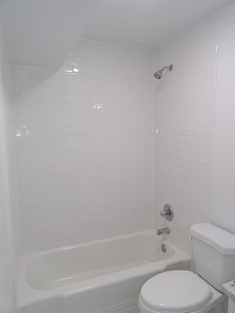A white toilet sits next to a bathtub in a bathroom.