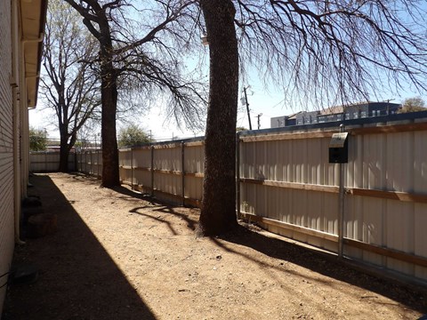 A tree in a yard behind a fence.