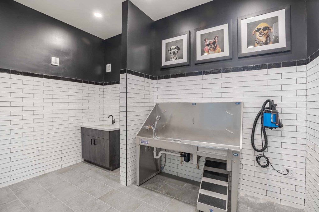 A kitchen with a sink and a stainless steel dishwasher.