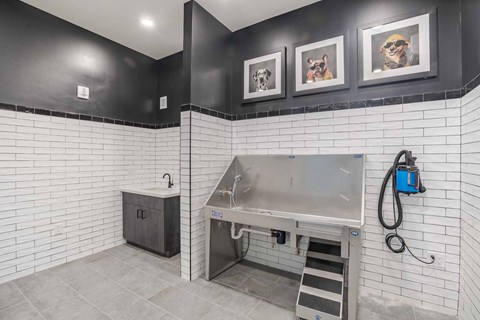 A kitchen with a sink and a stainless steel dishwasher.