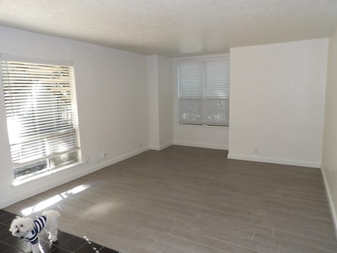 A dog in a striped sweater is standing in a room with a large window and a wooden floor.