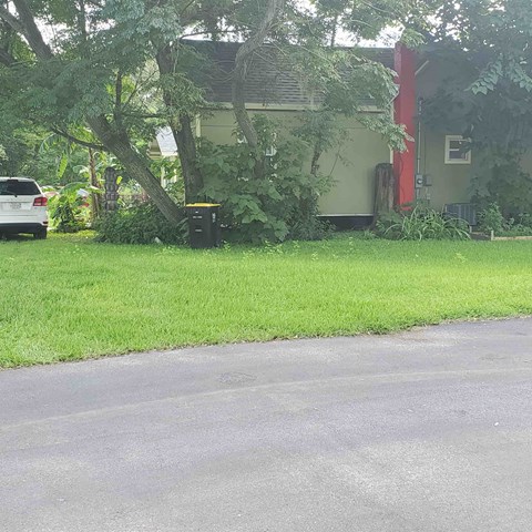 A white car is parked on the street in front of a house.